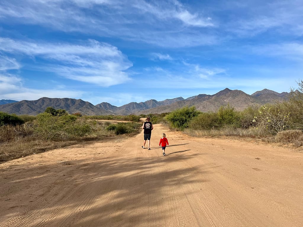 baja vs baja california sur whats the difference sierra de la laguna mountains