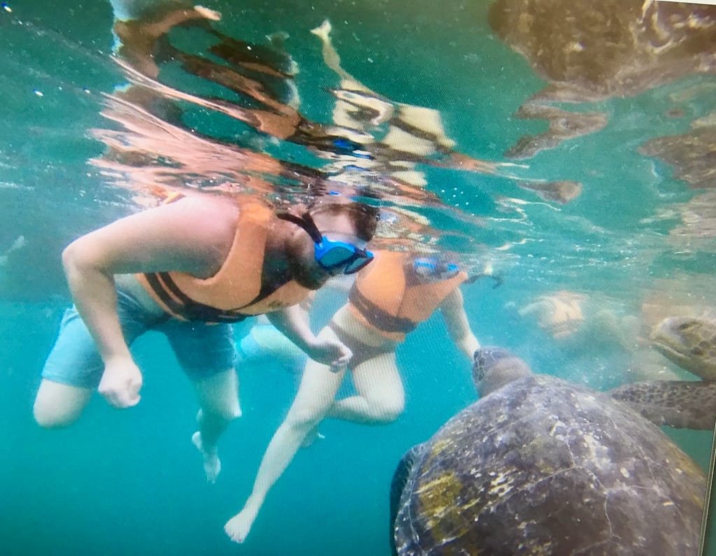 swimming with sea turtles mancora peru