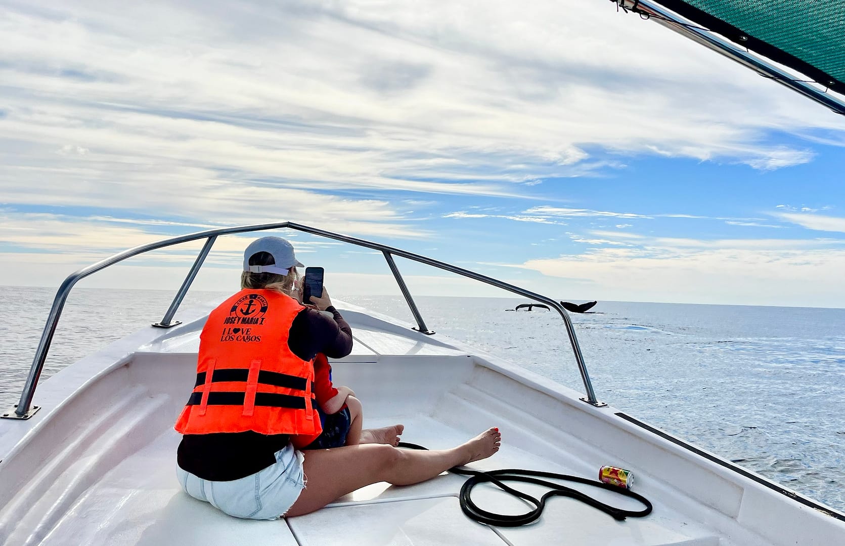 whale watching cabo san lucas boat tour