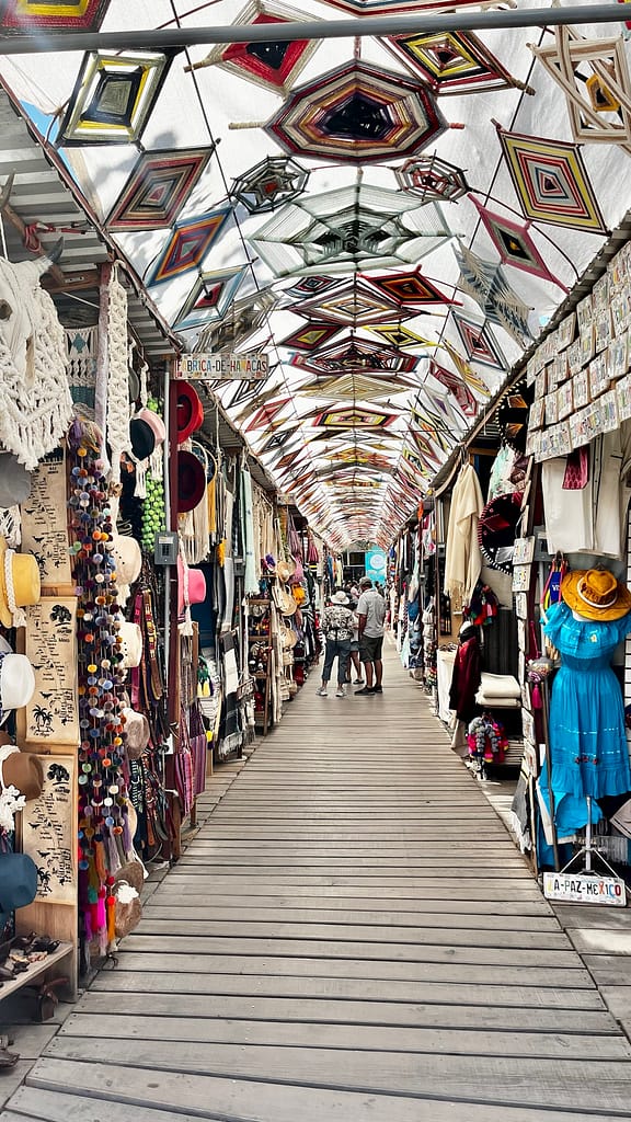 visit los cerritos baja shopping markets todos santos mexico