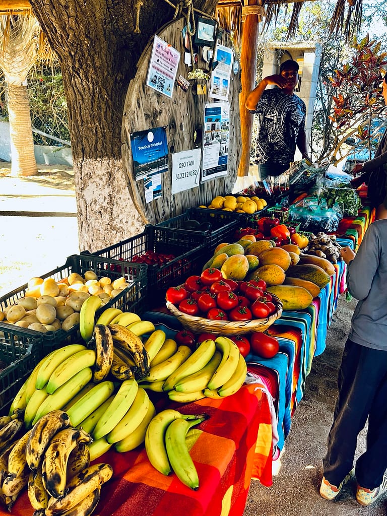 visit los cerritos baja el pescadero farmers market baja beans